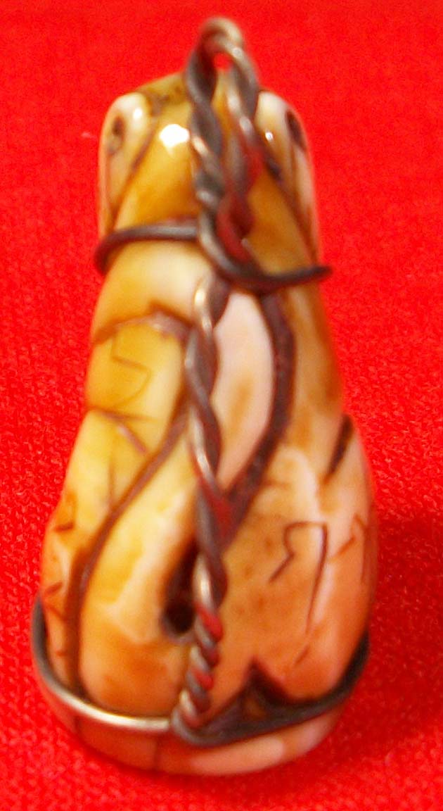 รบกวนดูเสืออีกตัวครับ