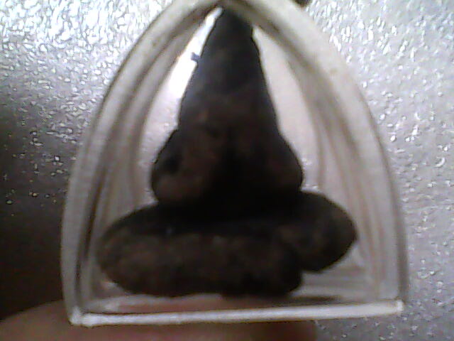 พอทราบไหมครับ