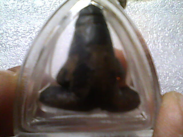 พอทราบไหมครับ