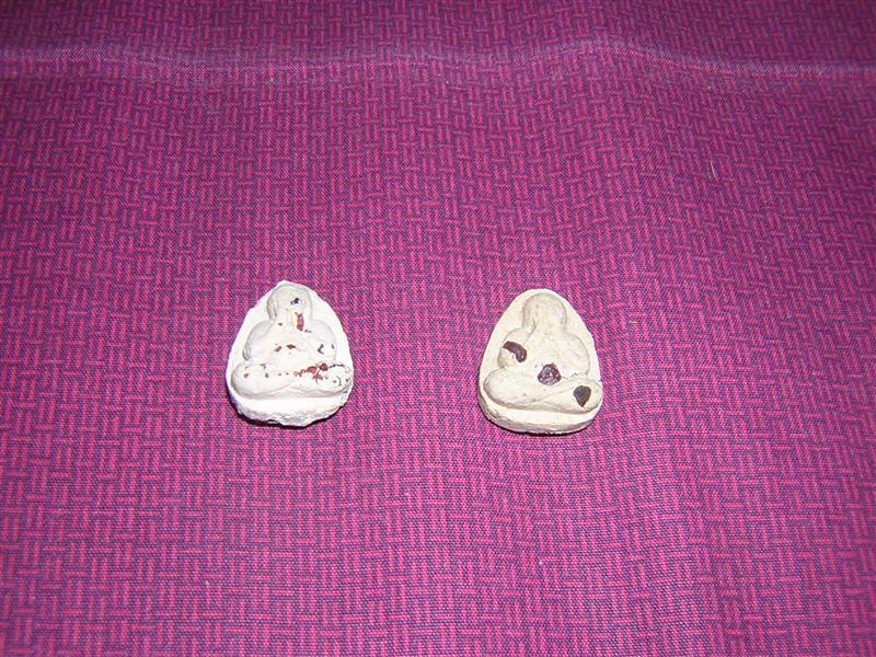 ปิดตาฝังพลอย ลป.ทิม