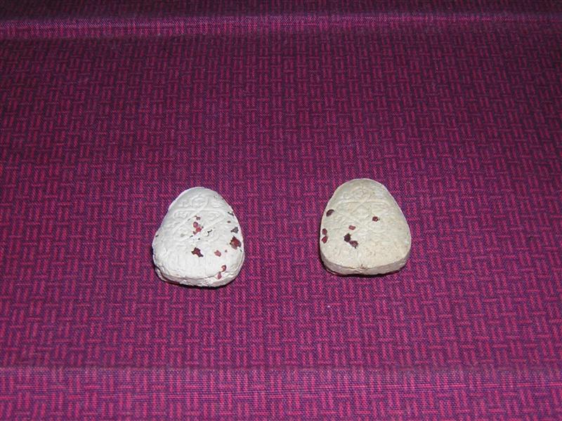 ปิดตาฝังพลอย ลป.ทิม