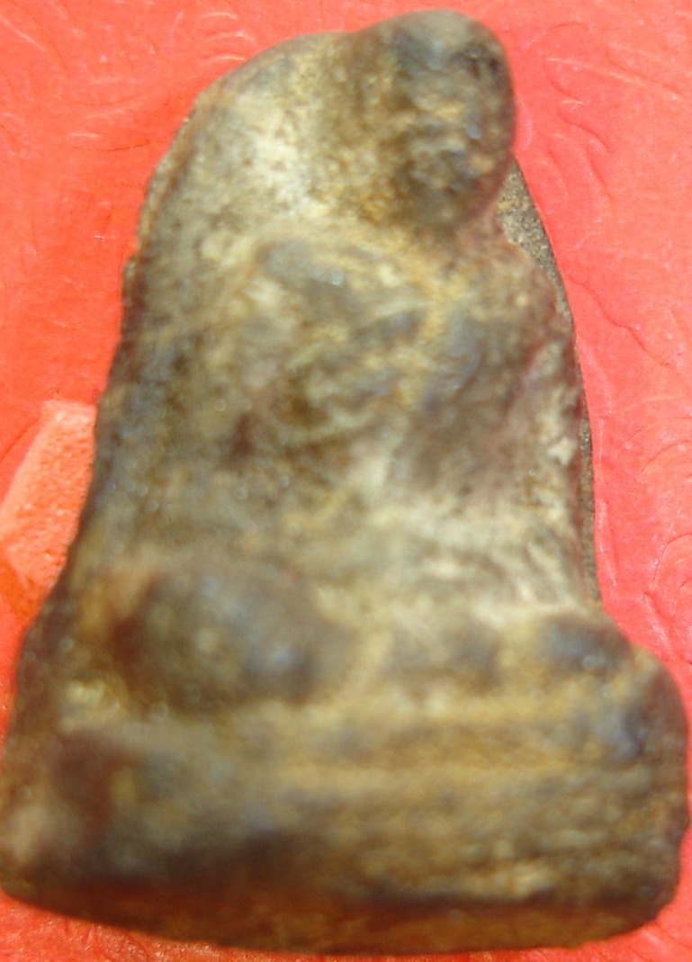 พระอะไรครับ เนื้อแบบนี้เก่ามั๊ยครับ