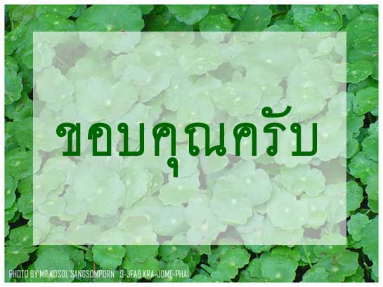 ขอบคุณเวปมาสเตอร์และทีมงานครับ