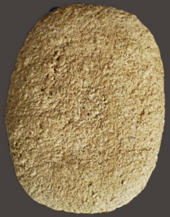 กราบเรียนพี่ๆน้องๆช่วยชี้แนะให้กระผมหน่อยนะคับ