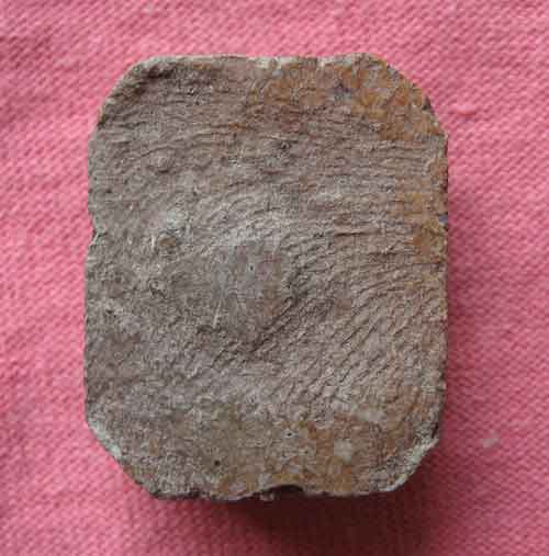 สอบถามผู้รู้ หลวงพ่อปาน ช่วยวิจารณ์หน่อยครับ