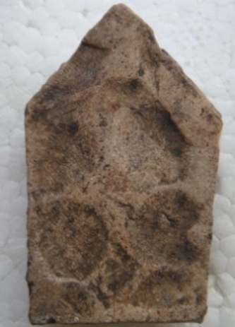 สามองค์ครับ ช่วยกันพิจารณาด้วยครับ