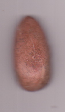 ช่วยดูให้หน่อยครับพระขุนแผนไข่ผ่าซีกครับ