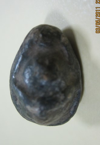 ปิดตาหลวงปู่เอี่ยม