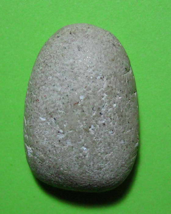 วัดพลับ