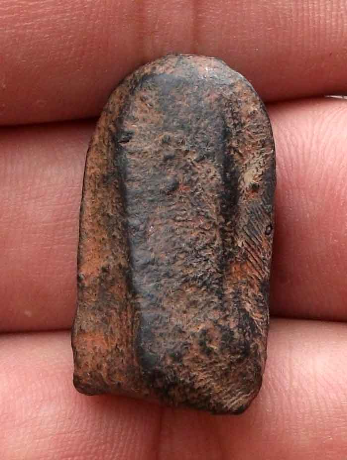 แท้หรือเก๋ครับ 