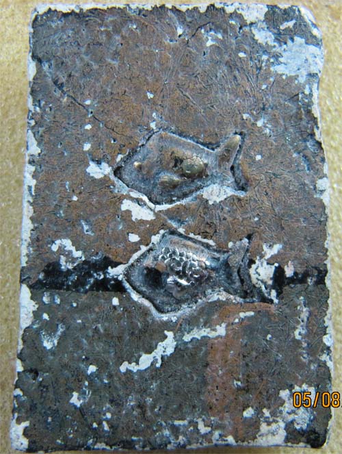 ช่วยพิจารณา นางกวัก  ให้ด้วยครับ