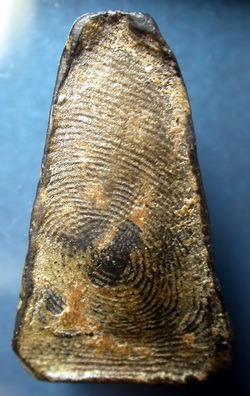 พระผงสุพรรณ องค์นี้พอจะเข้าเค้ามั้ยครับ ช่วยหน่อยนะครับ