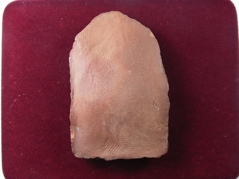 เนื้อดิน