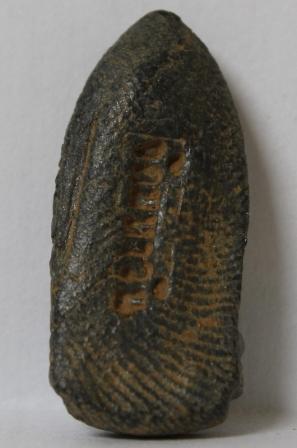 พระรอด วัดมหาวัน  ตรวจสอบทีครับ 