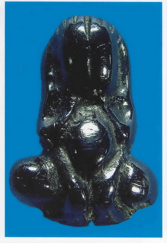 ให้เช่าพระปิดตา เนื้อเมฆพัฒ สะดือจุ่น หลวงปู่นาค วัดห้วยจระเข้