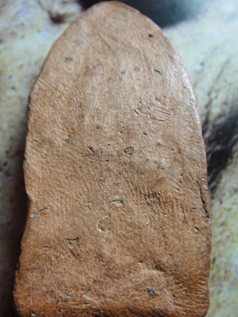 ใช่พระลือโชง กรุทางภาคเหนือ แท้หรือเปล่าครับ