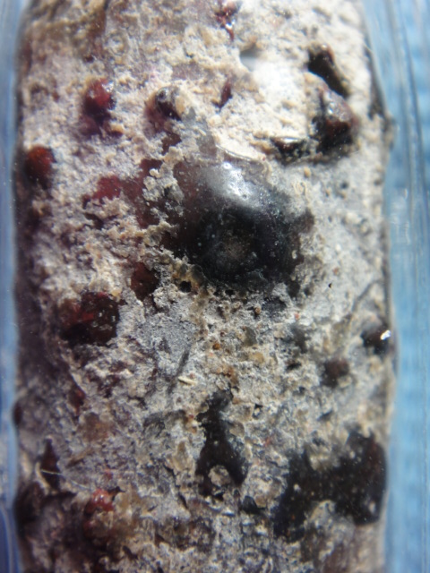 พระนาคปรก กรุนาดูน แท้มั้ยครับ