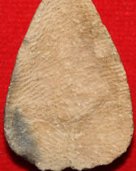 แนะนำพระกลีบบัว กรุวัดลิงขบ พร้อมทุกความเห็นครับ