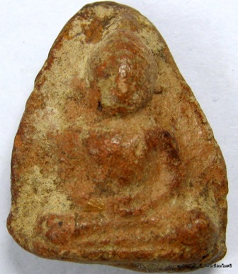 เชตุพลหน้าโหนกเนื้อดิน