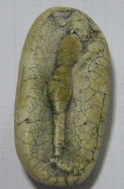 อยากทราบวัดพลับองค์นี้แท้ไหมครับ