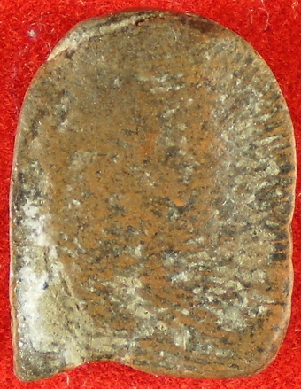 ซุ้มกอ พิมพ์จิ๋วช่วยวิจารณ์ครับ