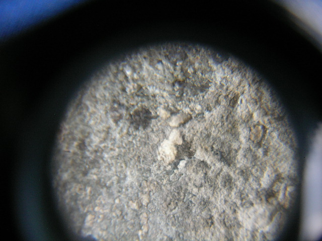 กราบเรียนช่วยพิจรณาพระหูยาน