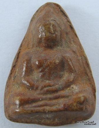 เชตุพนหน้าโหนกเนื้อดิน