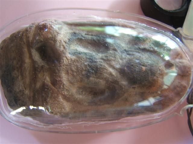 นาคปรกใหญ่กรุนาดูน...ใช่ป่าวครับ.