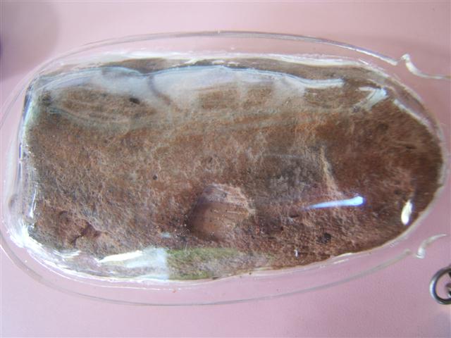 นรคปรกใหญ๋กรุนาดูน...ใช่ป่าวครับ