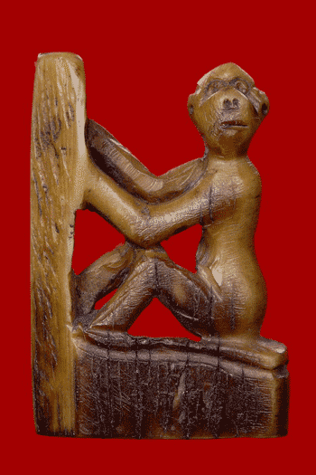 ลิงงาแกะ ที่ใหนก็ไม่รู้