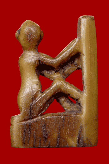 ลิงงาแกะ ที่ใหนก็ไม่รู้