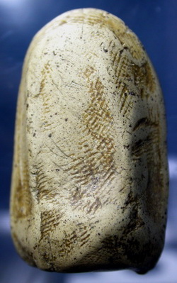 ถามท่านผู้รู้พระคง หน่อยนะครับองค์นี้เป็นยังไงครับ