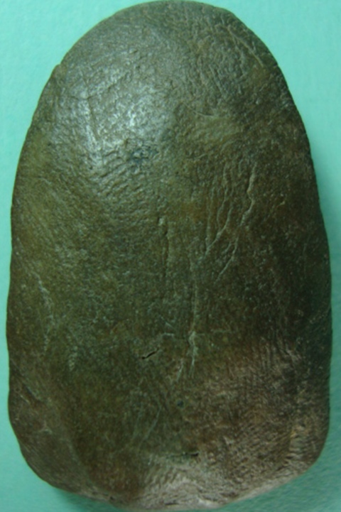 ขอถามท่านผู้รู้ทุกท่านว่าพระเปิมองค์นี้แท้หรือเปล่าครับ