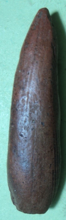 พระลีลาเนื้อดินไม่ทราบกรุ