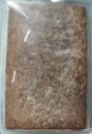 สมเด็จ หลวงปู่บุญ รึเปล่าครับ