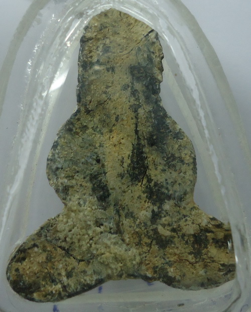 ฝากพี่ๆ ช่วยดูปิดตาให้ด้วยครับเนื้อชิน