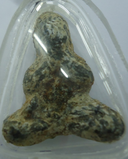 ฝากพี่ๆ ช่วยดูปิดตาให้ด้วยครับเนื้อชิน