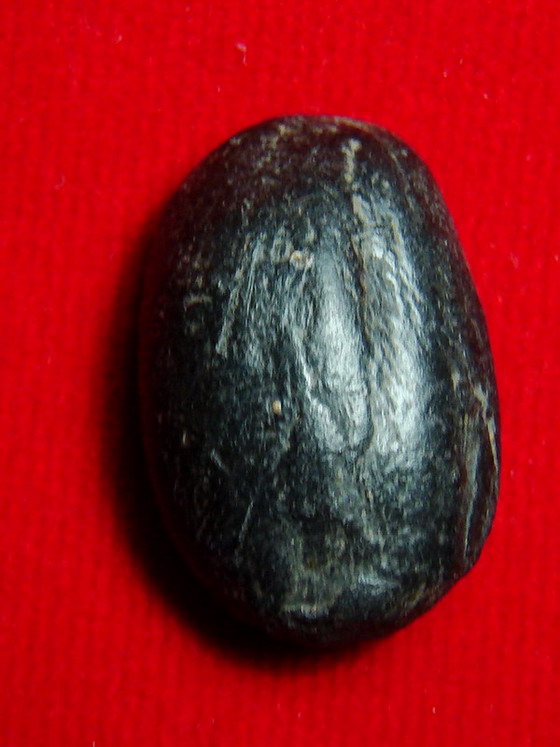 @ ใช่วัดพลับไหมครับ @