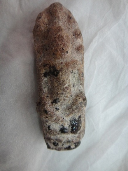 นาคปรก กรุนาดูนครับ แท้ หรือไม่ครับ