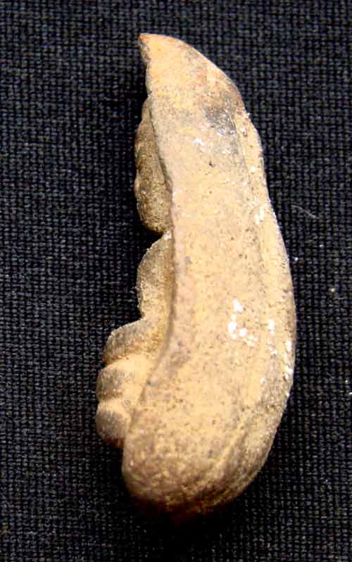 ถ้ำเสือครับ   เก้  แท้   