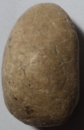 สอบถามพระวัดพลับ