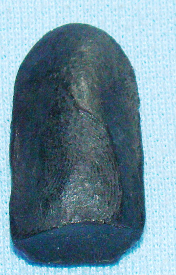 พระคงหรือพระบาง แท้หรือไม่