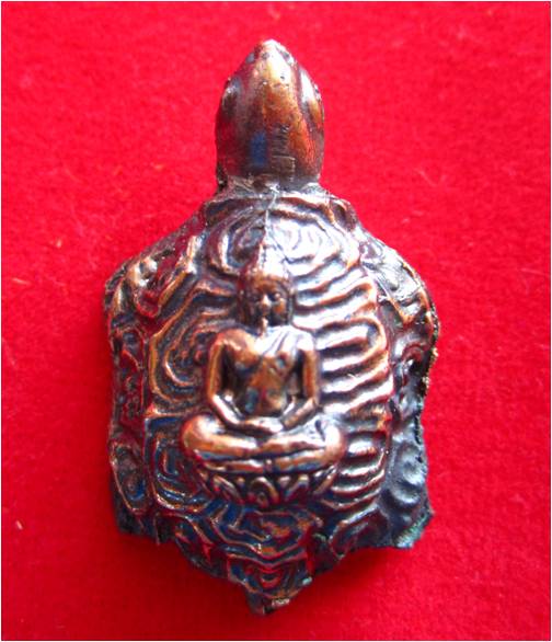 สอบถามเต่าหน่อยครับ