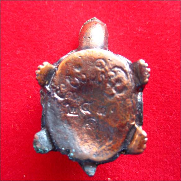 สอบถามเต่าหน่อยครับ