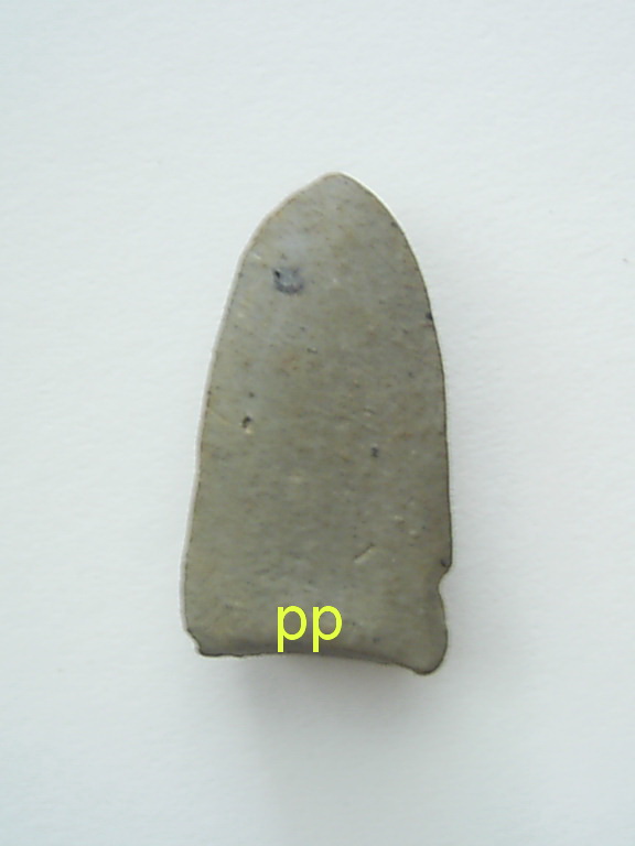 สอบถามพระรอดครับ