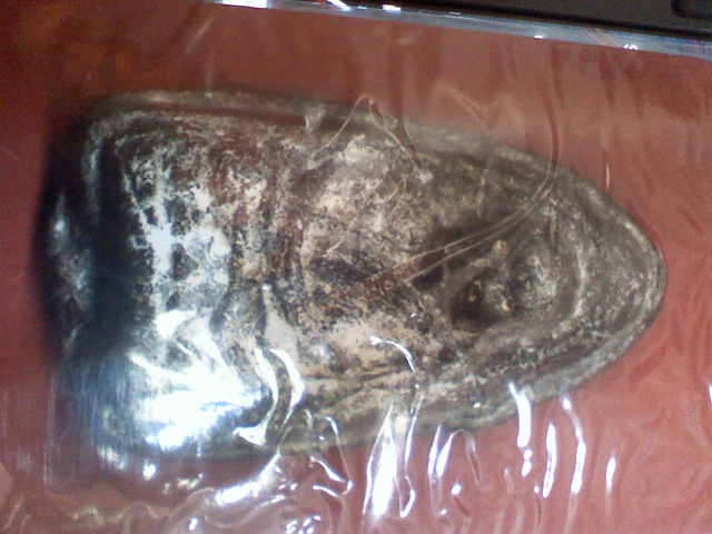 หลวงปู่ทวด วัดช้างให้