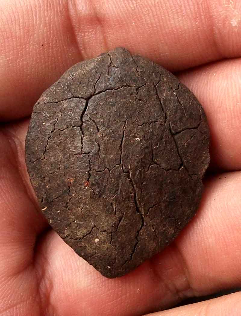 พระพิมพ์พนมมือ โพธิ์เต็ม เนื้อช๊อคโกแลต ท่านพ่อลี วัดป่าคลองกุ้ง