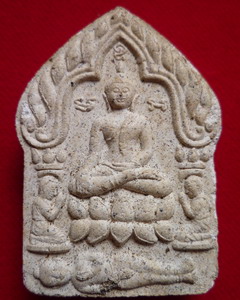 เสนอขาย ขุนแผนอาจารย์เปล่งเนื้อเกสรสีขาว