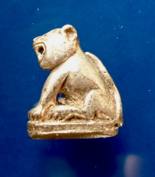 เสือ กะไหล่เงิน ไม่ทราบวัด