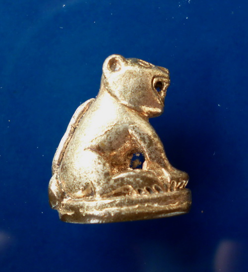 เสือ กะไหล่เงิน ไม่ทราบวัด